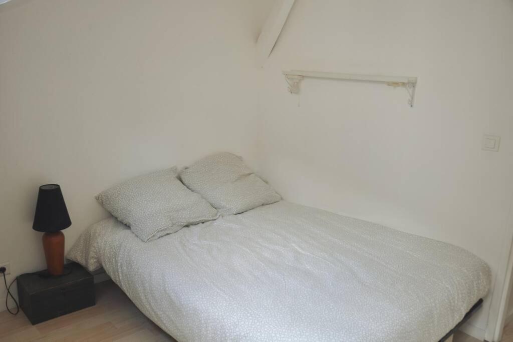 Duplex Avec Belle Terasse Au Centre De Bayonne Apartment Luaran gambar